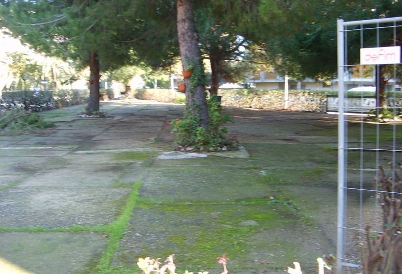 Residence Primula  | Silvi Marina | Teramo | Italia 16