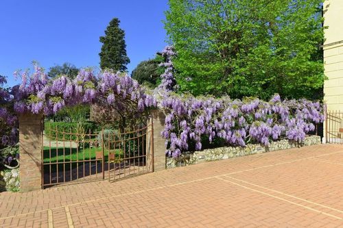 Villa Pietro  | Monteroni d'Arbia | Siena | Italia 5