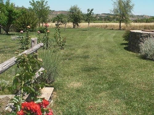 Casale Sugherino  | Orbetello | Grosseto | Italia 9