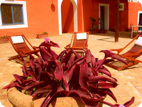 Hotel A Cannata  | Santa Marina Salina-Isla de Salina | Mesina | Italia 10