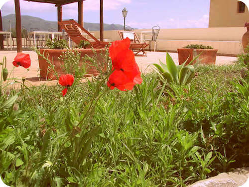 Hotel A Cannata  | Santa Marina Salina-Isla de Salina | Mesina | Italia 5