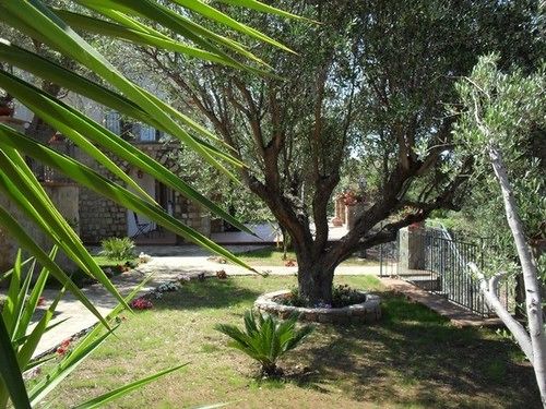 B&b Antica Dimora  | Pisciotta | Salerno | Italia 19