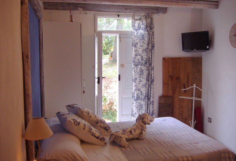 Trulli Terra Magica B&b  | Bari | Bari | Italia 13