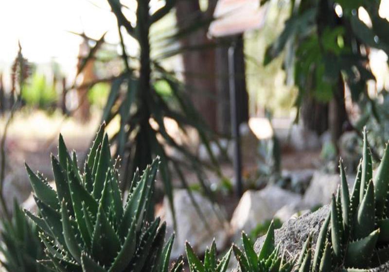 Hotel Rural Tenuta Barco Di Eméra  | Tarento | Tarento | Italia 12