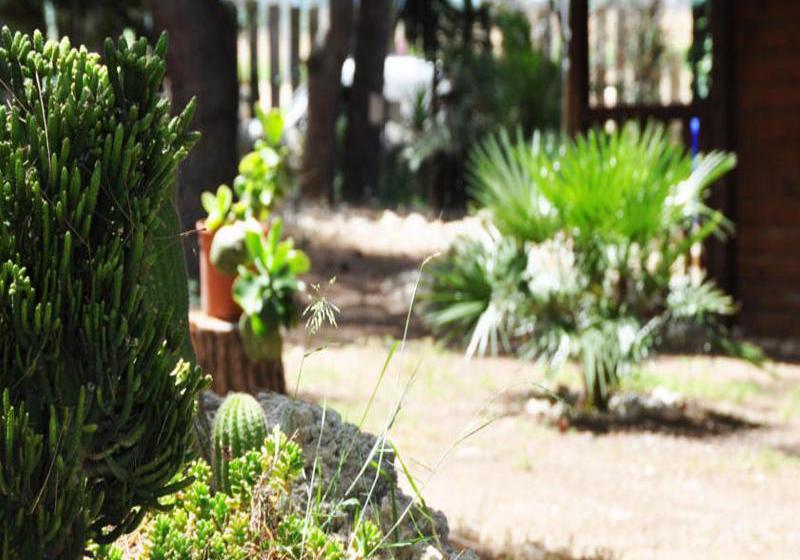 Hotel Rural Tenuta Barco Di Eméra  | Tarento | Tarento | Italia 9