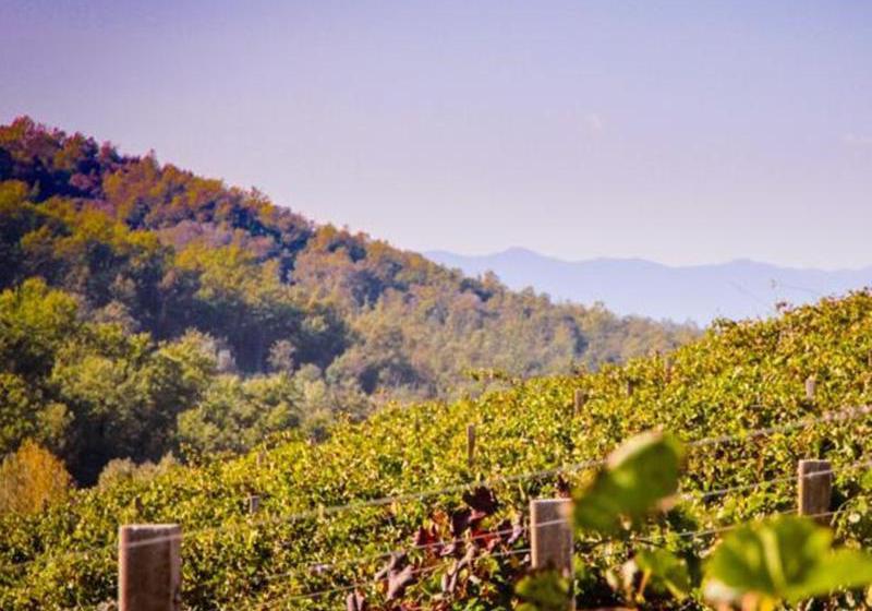 Hotel di Montagna Colle Bertini  | Montaione | Florence | Italia 4