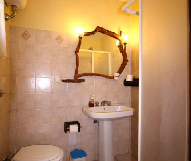 Funghi 2 Pitigliano Grosseto