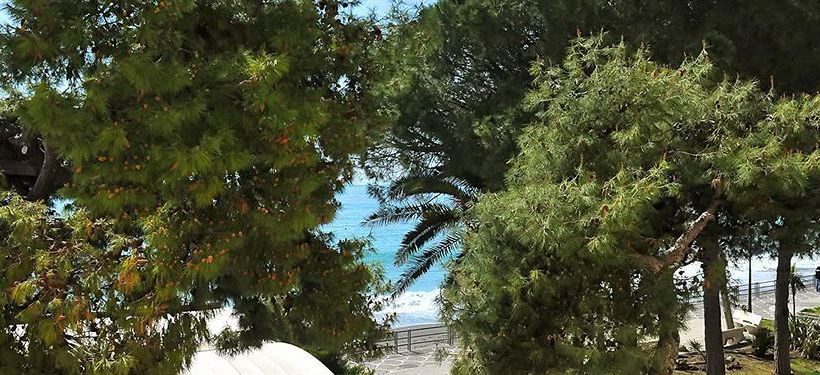 Maiori Dream Rental  | Maiori | Salerno | Italien 16