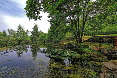 Villa Cretole  | Monterchi | Arezzo | Italia 6