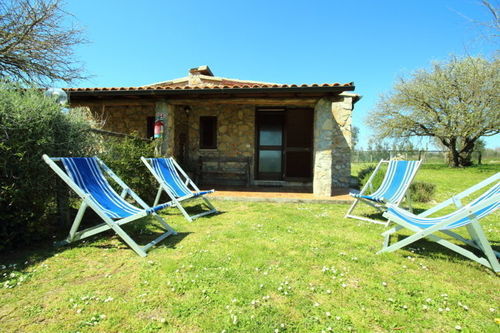 Funghi 1  | Pitigliano | Grosseto | Italia 10