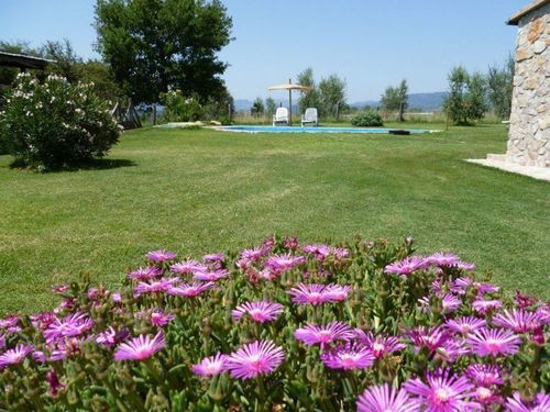 Funghi 1  | Pitigliano | Grosseto | Italia 11