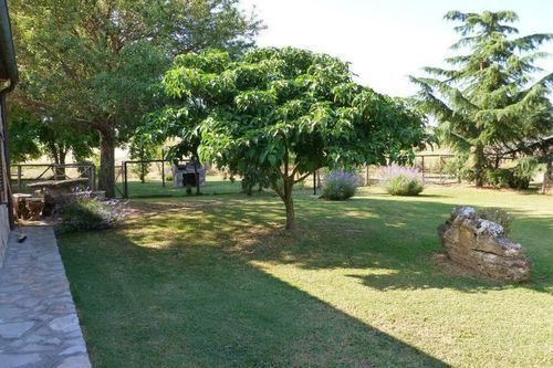 Funghi 1  | Pitigliano | Grosseto | Italia 12