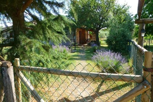 Funghi 1  | Pitigliano | Grosseto | Italia 14