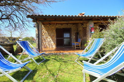 Funghi 1  | Pitigliano | Grosseto | Italia 15