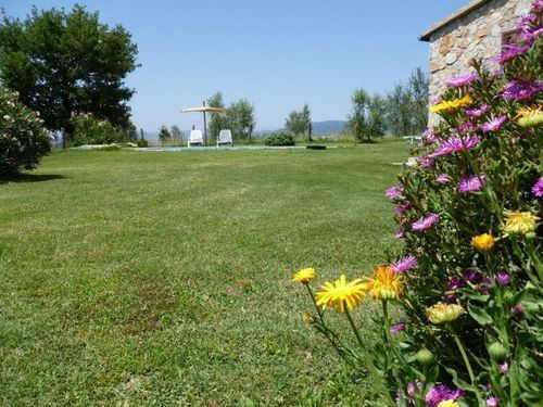 Funghi 1  | Pitigliano | Grosseto | Italia 16