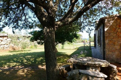 Funghi 1  | Pitigliano | Grosseto | Italia 17