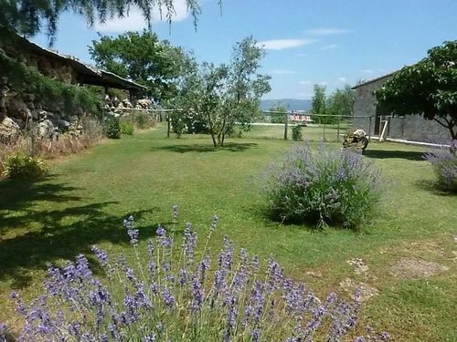 Funghi 1  | Pitigliano | Grosseto | Italia 3