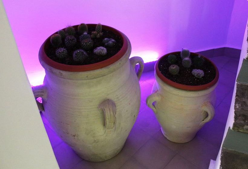 Bed and Breakfast Sicilia Bedda Nice  | Catania | Catania | Italia 2