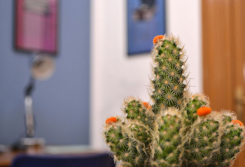 Bed and Breakfast Residenza Di Maggio  | Palermo | Palermo | Italia 19