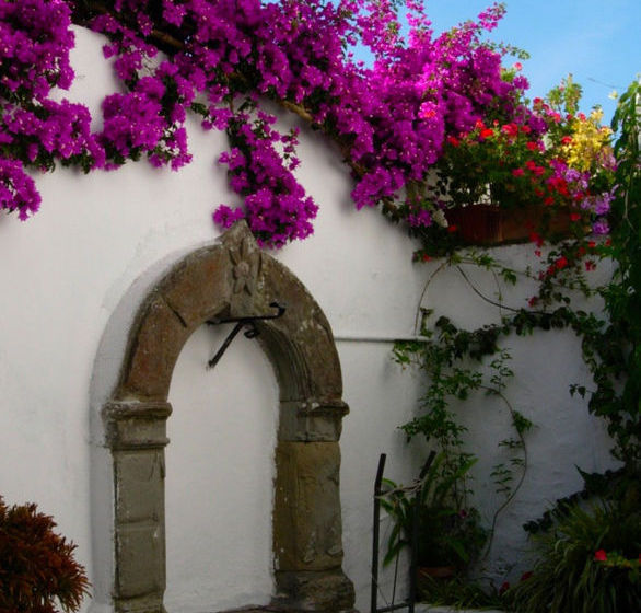 Capri Myhouse 3  | Anacapri - Isla de Capri | Napoli | Italia 9