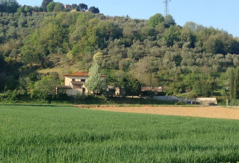 Bed and Breakfast Podere Di Valli  | Santa Maria a Monte | Pisa | Italia 4