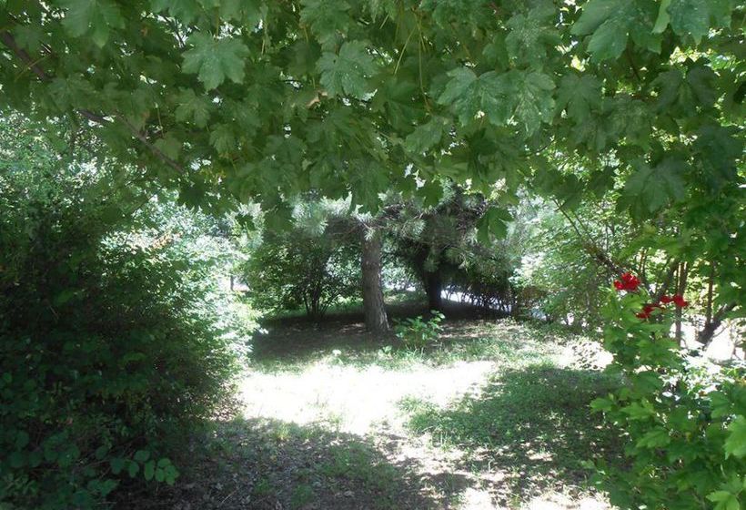 Hotel Grande Albergo Gambarie  | Gambarie | Reggio Calabria | Italia 2