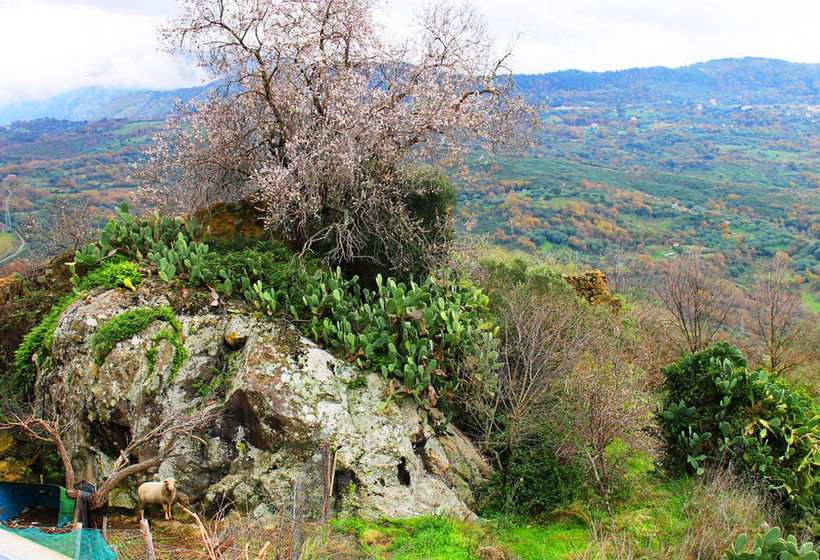 Hotel Il Poggio Del Cardinale  | Centola | Salerno | Italia 9