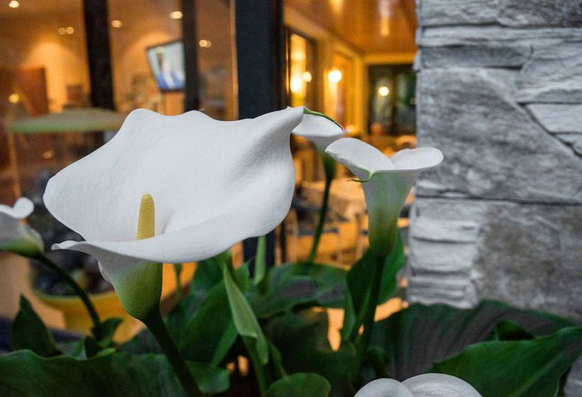 Hotel Fiordaliso  | Sirmione | Brescia | Italia 12