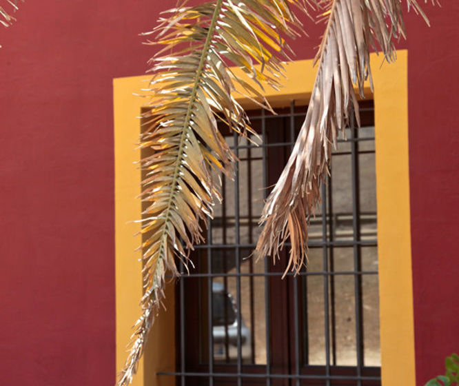 Hotel Baglio Catalano  | Custonaci | Trapani | Italia 14