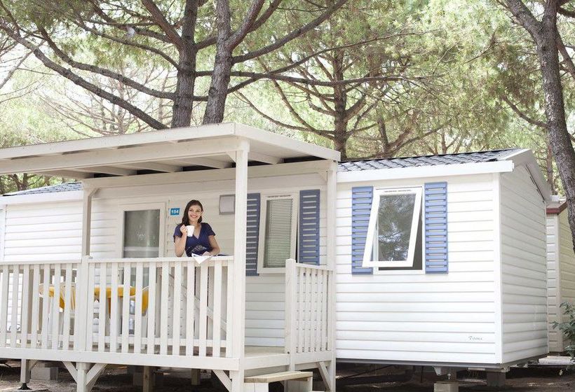 Hotel Camping Waikiki  | Jesolo | Venezia | Italia 4