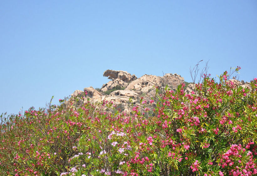 Villetta Ulivo E Il Mare  | Palau | Sardegna | Italia 20
