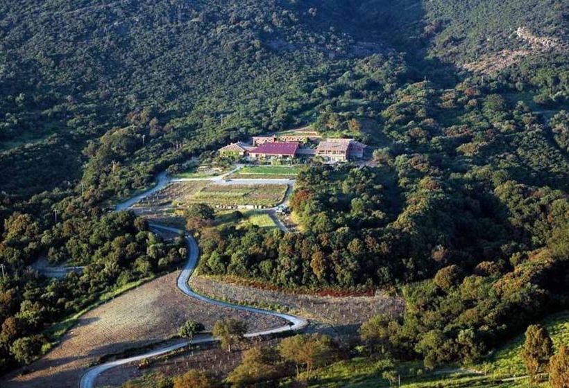 Hotel L'isola Di Rosa  | Cerveteri | Roma | Italia 19