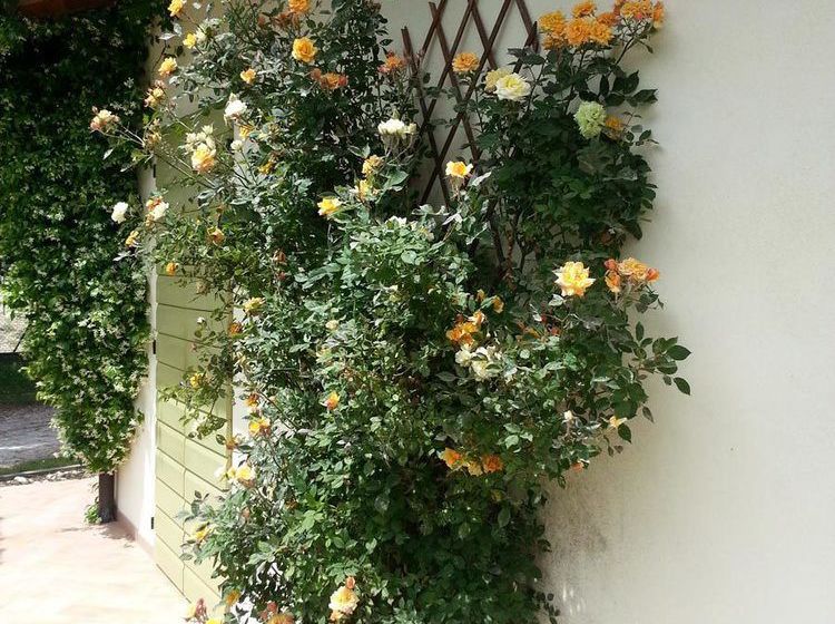 Hotel Caterina Residence Faenza  | Faenza | Ravenna | Italia 14