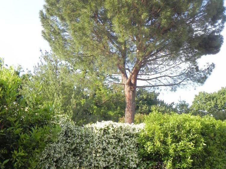 Hotel Caterina Residence Faenza  | Faenza | Ravenna | Italia 15