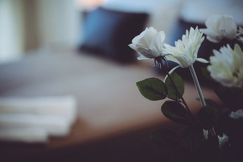 Hotel Diamante  | Cesenatico | Forlì-Cesena | Italia 4