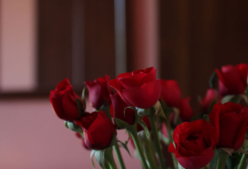 Bed and Breakfast Room Inn Rome Bed&Breakfast  | Roma | Roma | Italia 18