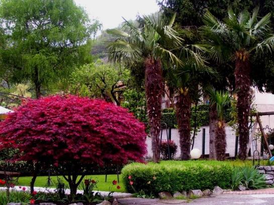 Hotel La Sosta  | Vestone | Brescia | Italia 3