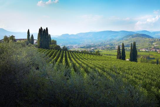 Hotel B&b Villa Archi Di Paola Nicolis  | San Pietro in Cariano | Verona | Italia 2