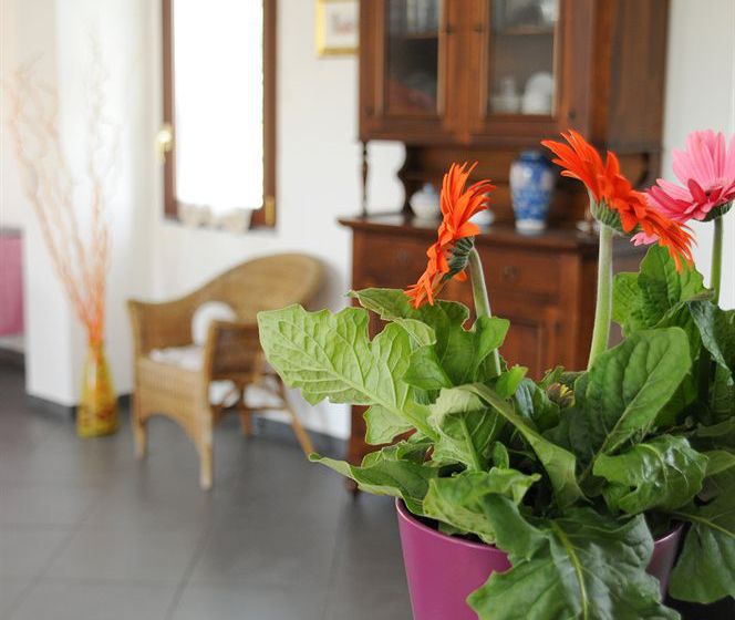 La Circumetnea B&b  | Catania | Catania | Italia 13