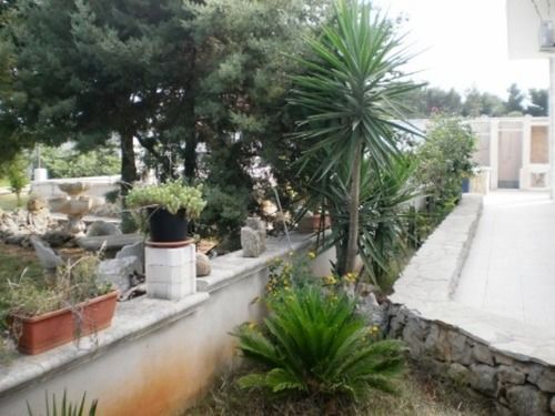 Bed and Breakfast Alloggio In Villa Cristina  | Gallipoli | Lecce | Italia 11