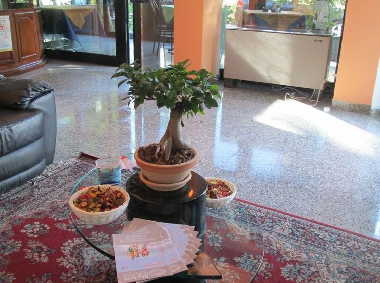 Hotel Solemar  | Riccione | Rimini | Italia 17