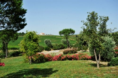 Villa Val Delle Vigne  | Grosseto | Grosseto | Italia 14