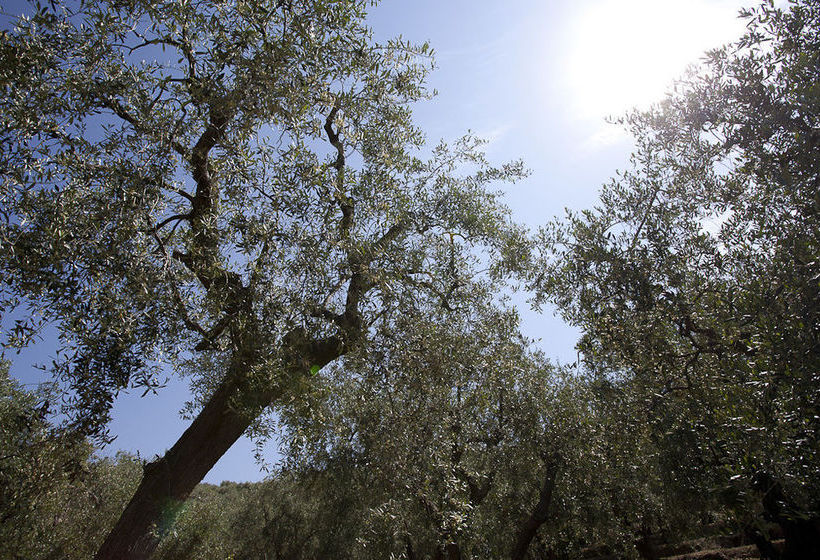 Il Mirto Bed And Breakfast  | Impéria | Imperia | Itália 11