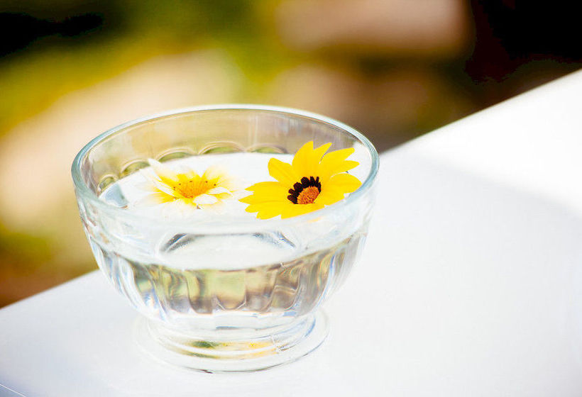 Il Mirto Bed And Breakfast  | Impéria | Imperia | Itália 12