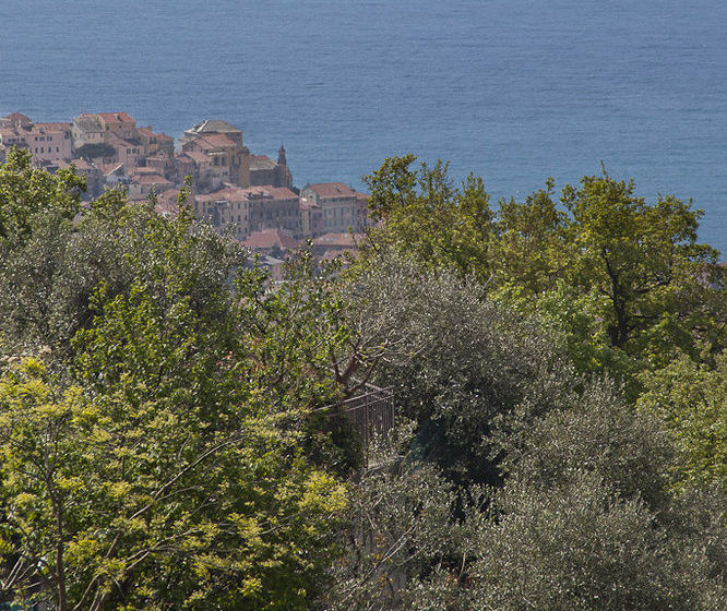 Il Mirto Bed And Breakfast  | Impéria | Imperia | Itália 19