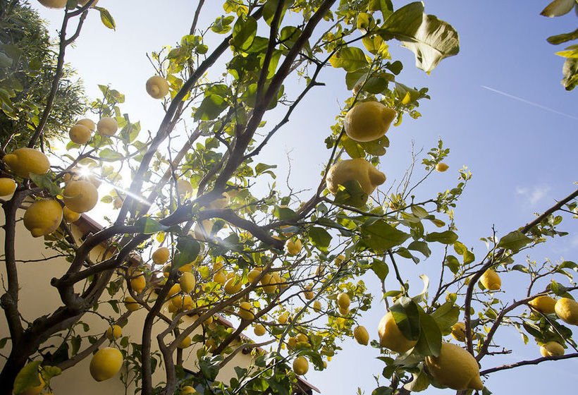 Il Mirto Bed And Breakfast  | Impéria | Imperia | Itália 9