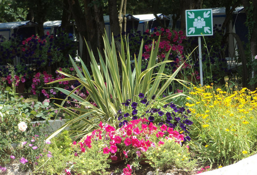 Hotel Camping Rialto  | Mestre | Venezia | Italia 3