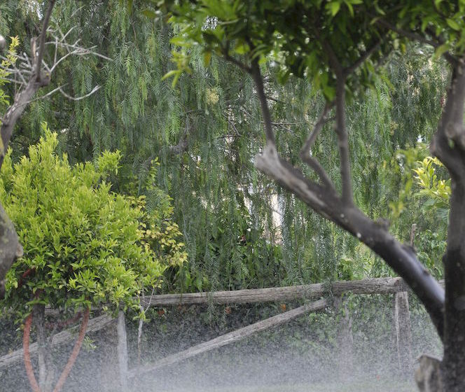 Hotel B&b Case Giannone  | Santa Flavia | Palermo | Italia 18