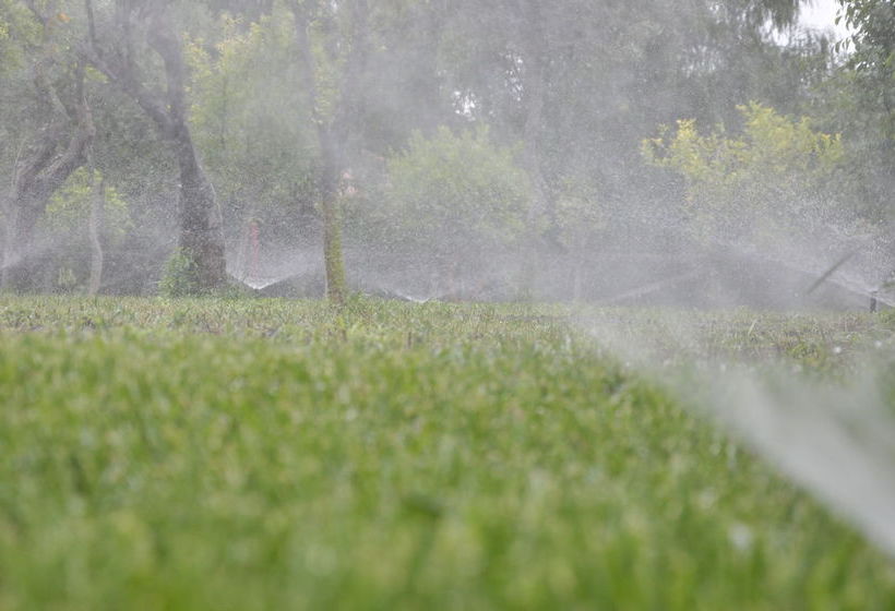 Hotel B&b Case Giannone  | Santa Flavia | Palermo | Italia 8