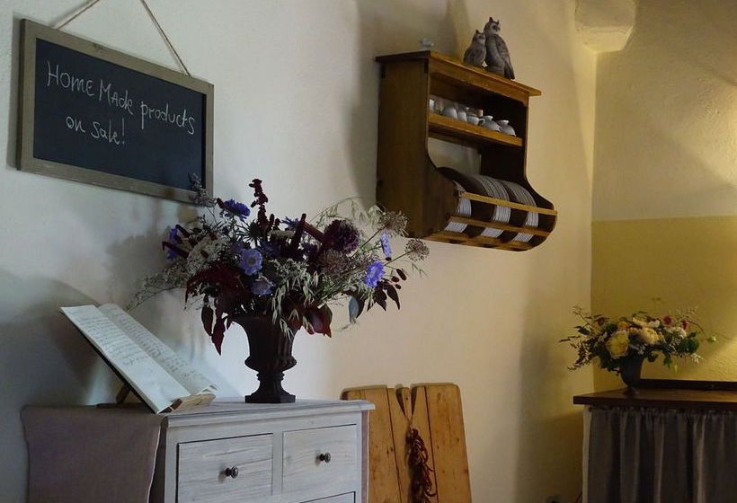 Podere Pievina  | Sinalunga | Siena | Italia 10